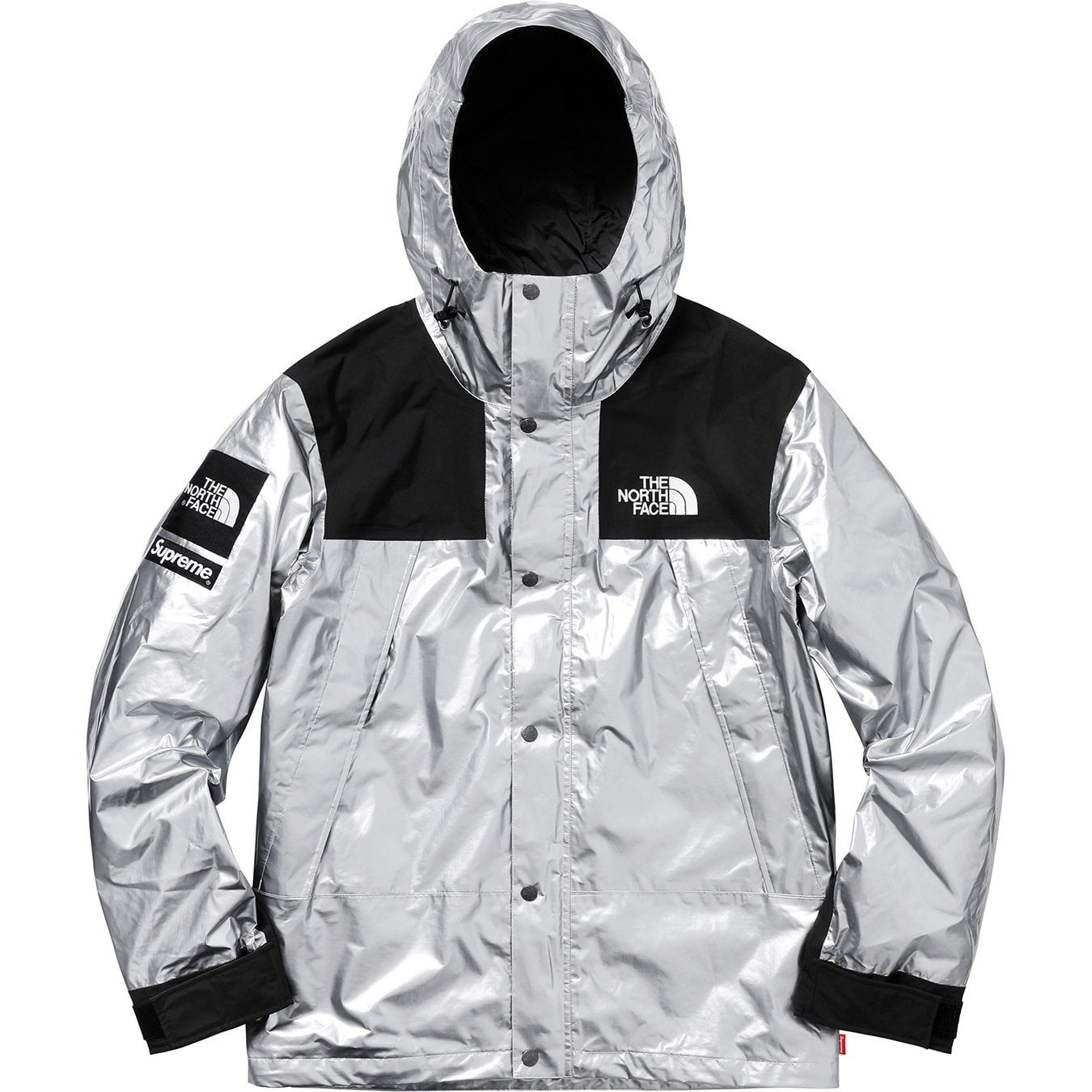 Supreme®/The North Face® Metallic Mountain Parka view 3